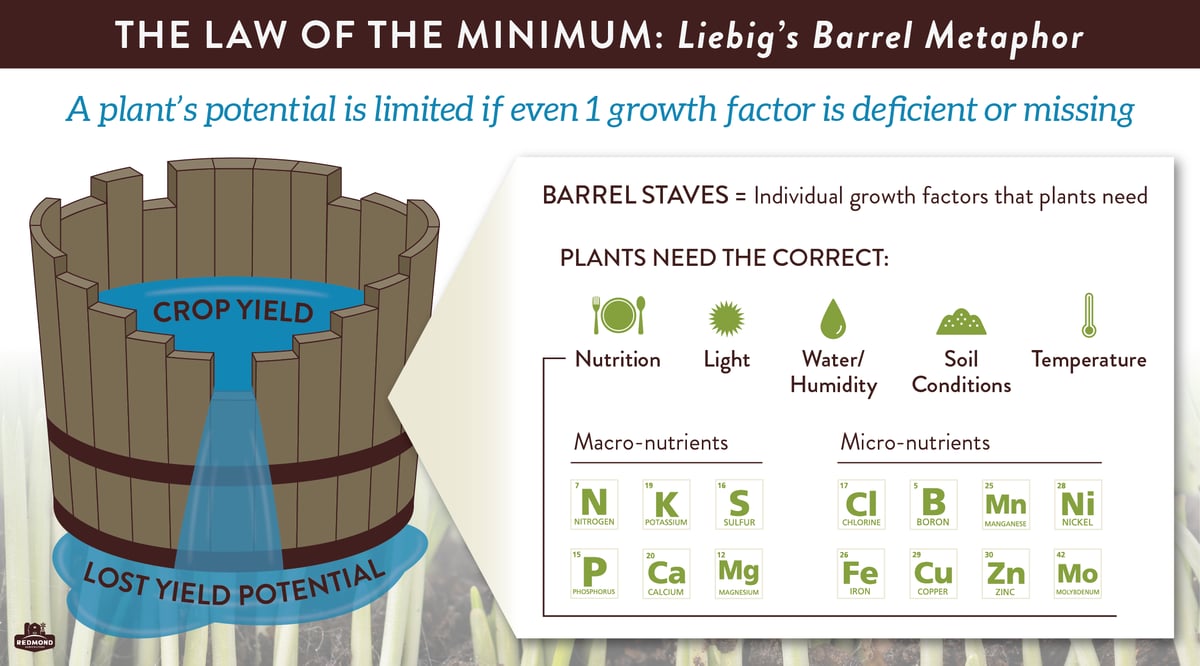 Law Of The Minimum